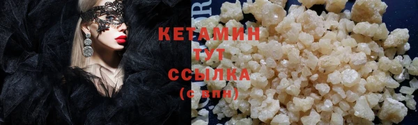 крисы Алексин