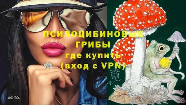 крисы Алексин