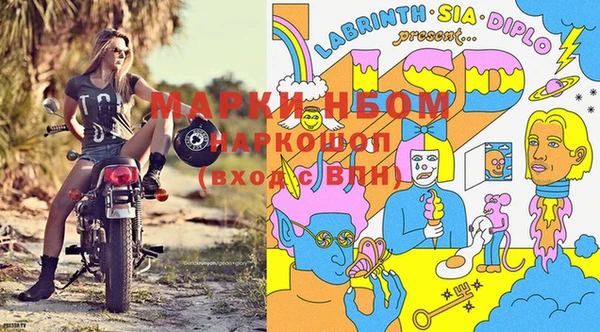 крисы Алексин