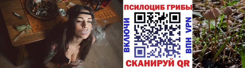 Галлюциногенные грибы ЛСД  ОМГ ОМГ сайт  Чебоксары 
